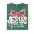 Jesus is the reason Tshirt