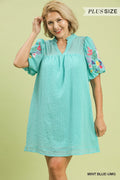 Mint Curvy Dress